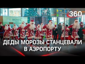 Флешмоб Дедов Морозов в Домодедово удивил приезжих, но не привел к задержкам рейсов