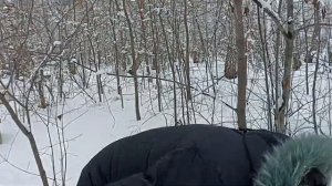 Подготовка пчелиных семей к зимовке, убираю лишние рамки, а если позволяет улей кладу рамку вверху.