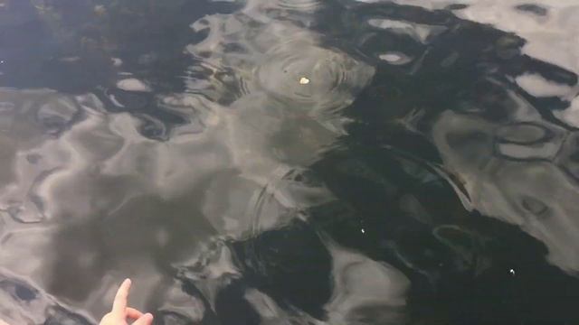 Детский ландшафтный парк Южное Бутово смотреть онлайн