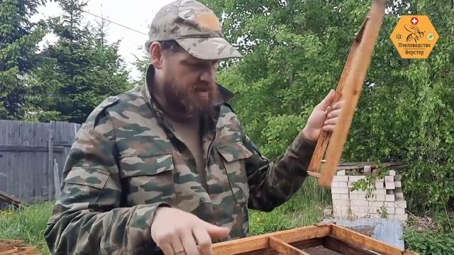 Какие рамки лучше смотреть онлайн