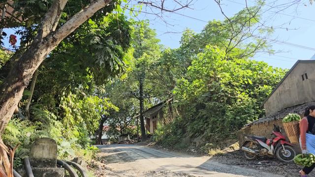 The Secret Life of a Single Mom: Harvesting Bananas, Raising a Son. смотреть онлайн