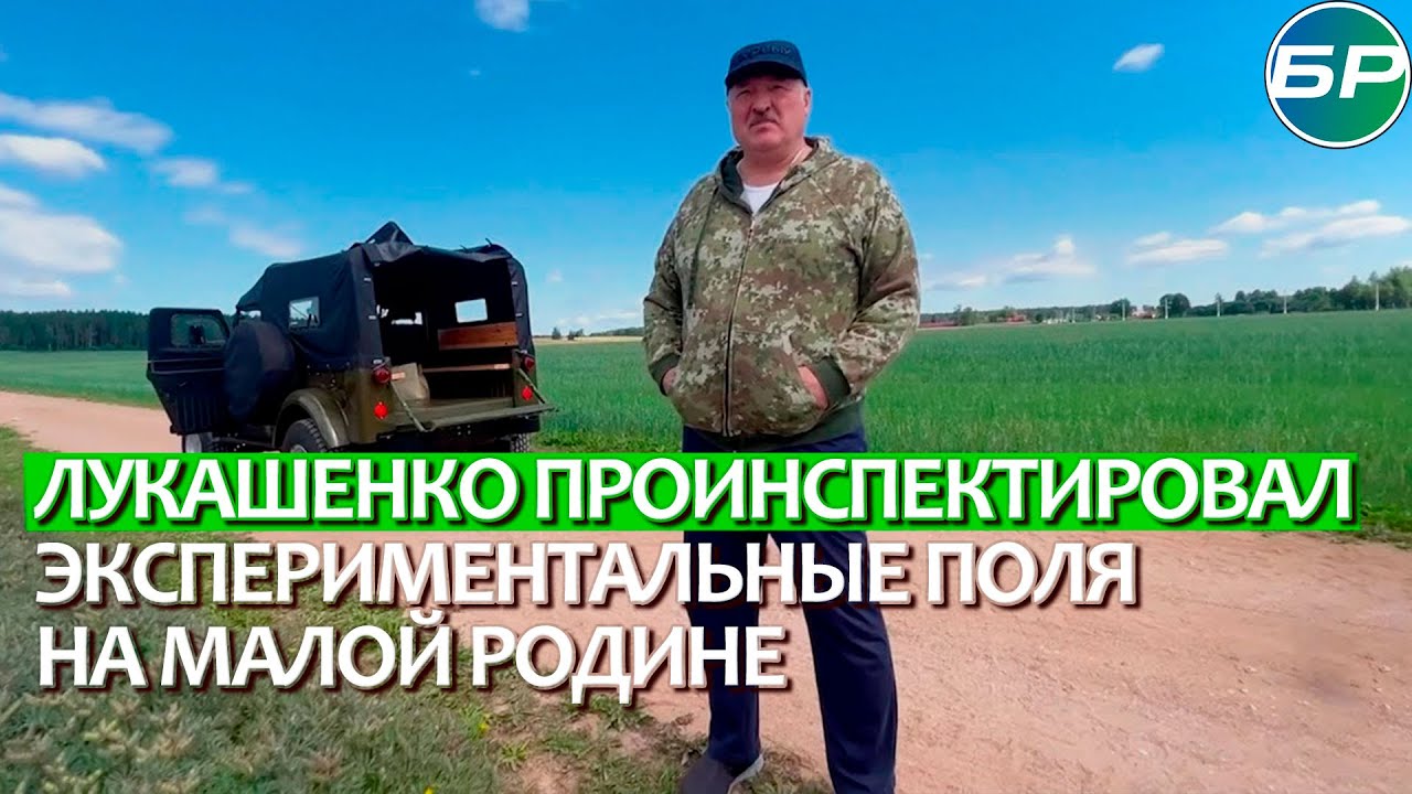 Химию здесь нельзя применять: Лукашенко посетил экспериментальные поля оценил состояние культур