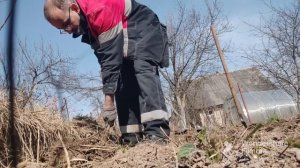 Корчевание пней на участке. Огонь или лом, чем лучше?