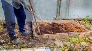 Посадка Голубики сорта Патриот и Бригитта Блю осенью.Наш опыт. Дача в Подмосковье.домашнее видео