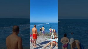 Обзорная пляж Дельфин Лазаревское