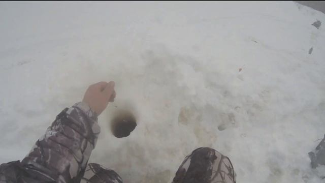 РЕКА ЗАБИТА ХАРИУСОМ! РЫБАЛКА В ТУНДРЕ!(Лучшая моя рыбалка часть 3) смотреть онлайн