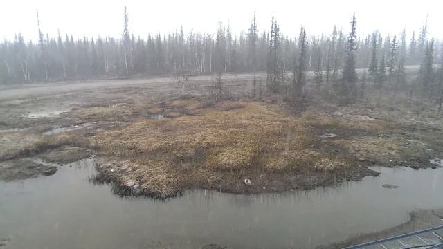 3 июня 2014 года смотреть онлайн