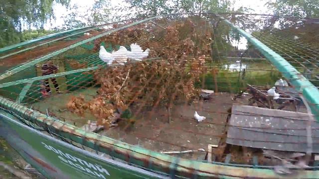 Ева в зоопарке, детеныш пони и грозные медведи. смотреть онлайн