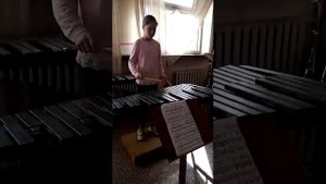 Д.Кабалевский "Клоуны" - малый барабан; Б.Барток "Пьеса" - ксилофон