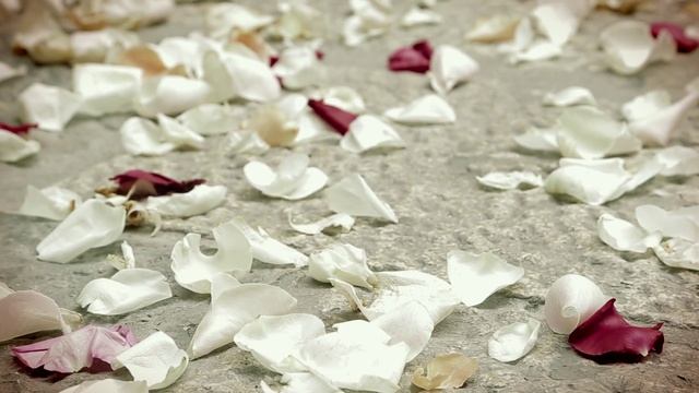 Astor Piazzolla - Oblivion, Marco Lo Russo Rouge in Sicily Made in Italy recital accordion soloist смотреть онлайн