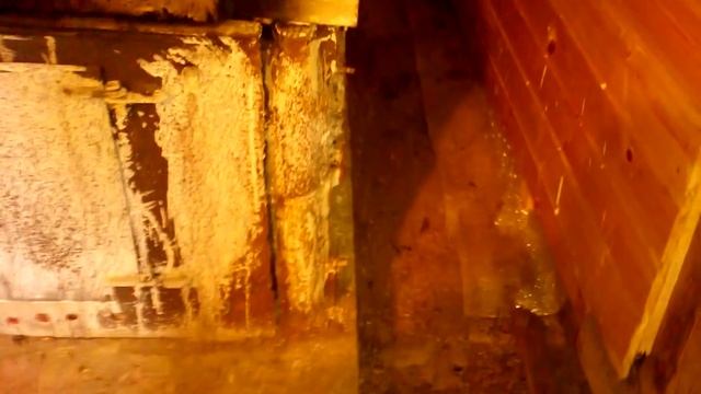 ГНИЕТ потолок в бане Конденсат в предбаннике # ЧТО ДЕЛАТЬ смотреть онлайн