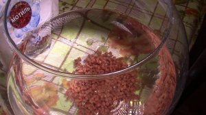 Зимняя прикормка "Pellets" с эффектом гейзера.