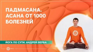 Падмасана. Асана от 1000 болезней. Андрей Верба