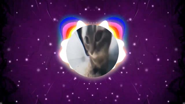 🔥💀ЧИПИ ЧИПИ ЧАПА ЧАПА![BASS REMIX]!(SNAKE) CHIPI CHIPI CHAPA CHAPA🌀♥️ смотреть онлайн