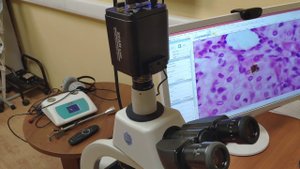 Обзор функционала 4K камеры ToupCam XCAM4K8MPA микроскопа и телескопа, изображение по Wi-Fi, GE LAN