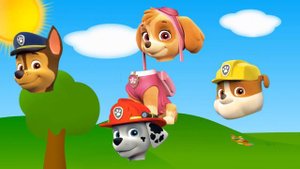 Wrong Heads Paw Patrol Chase, Marshalls, Skye Rubble Blue Orange
