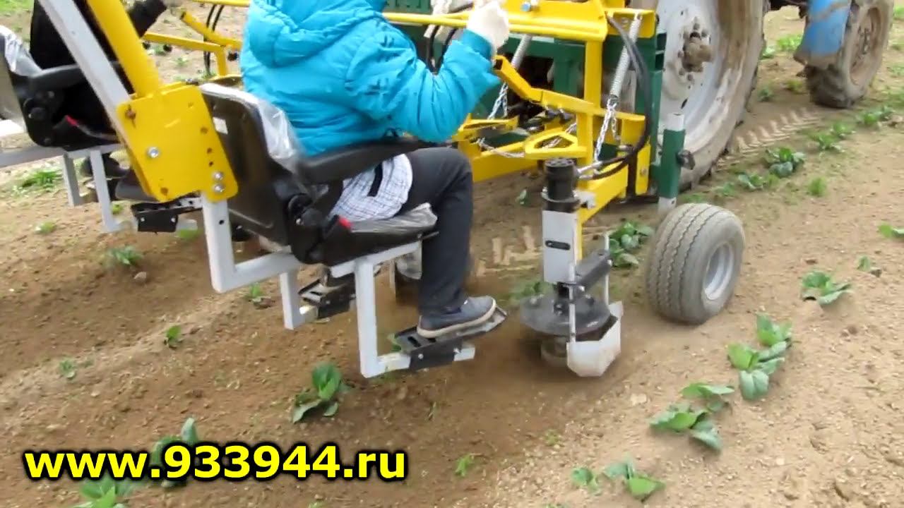 Прополка капусты Культиватором-полольником междурядий КПМ-2 так называемым Эко-корректором