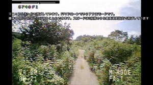 BETA FPV Cetus Pro FPV Kit ドローンレビュー