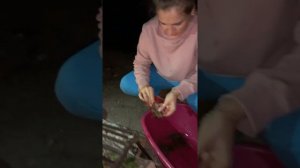 РАКИ /ЧИСТИМ РАКА ДО ВАРКИ
