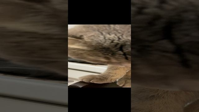 2023-06-26 22-55-17