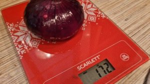 Вырастили ялтинский лук. Как вырастить ялтинский лук. Как сажать ялтинский лук.