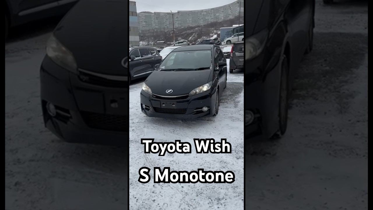 Toyota Wish S Monotone. Привезли с Японии для нашего клиента. Санкции его не коснулись. смотреть онлайн