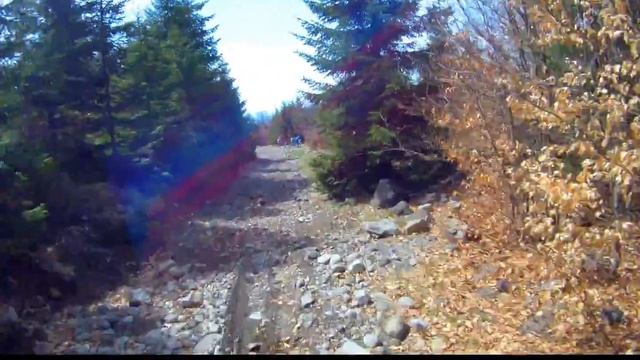 Poiana tomi (GitUp Git 2) смотреть онлайн