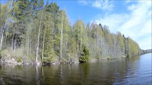 Природа Ленинградской области. Подпорожский район . Весна