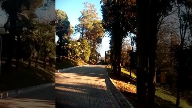 Санаторий Салют-Сочи смотреть онлайн