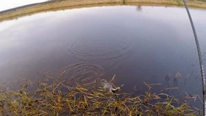 Обзор спиннинга Lucky John One Sensoric Inspirado 9