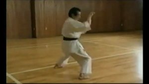 КАРАТЭ  ДЗЕСИНМАОН  !!!   Ikeda Hoshu  Jyoshinmon karate kata Naihanch