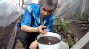 Температура воды для полива