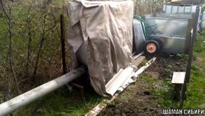 Засолка и холодное копчение Сороги и Бакли! Дегустация!