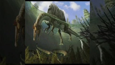 СПИНОЗАВР - любитель рыбы и различных морепродуктов