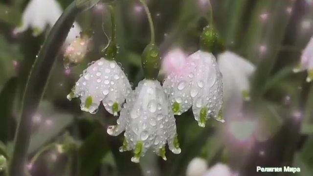 Трисвятое. Ангельская Песнь. смотреть онлайн