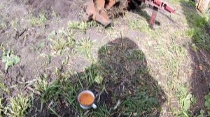 Вспашка Мотоблоком ?Каскад. Посадка картошки?.