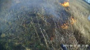 Тушение возгораний сухой травы