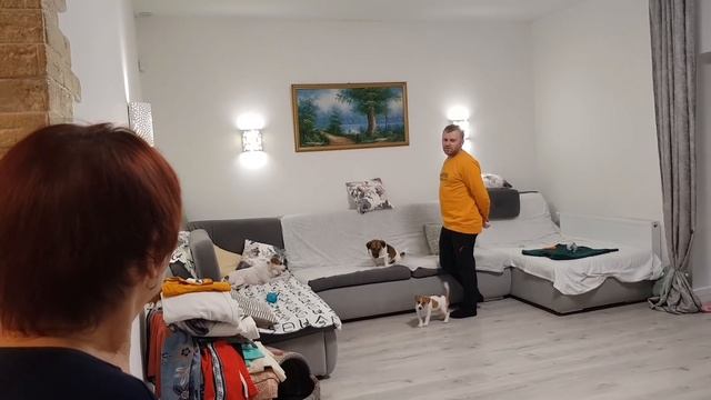 Купили две дорожки бабушки какую выбрать? смотреть онлайн