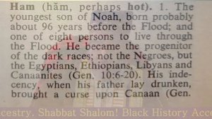 Ham the Father of the Dark Races but not the Negroes