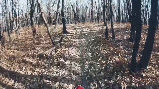 Закрытие эндуро сезона. 28.10.2023