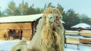 Сказка в Этномузей