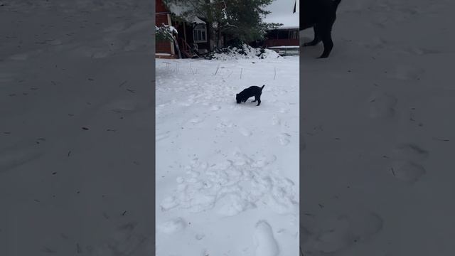 8 декабря 2022 г. Тайра 2,5 месяца смотреть онлайн