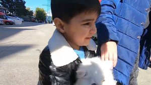 Покупаем питомца. Гагик и Милена на Рынке Животных.  мой питомец