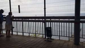 Электричка в Аэропорт. 2020.09.20_10:05. Сочи - 10:45. Мацеста - 10:53