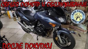 Осмотр после покупки  Honda CBF600 2004