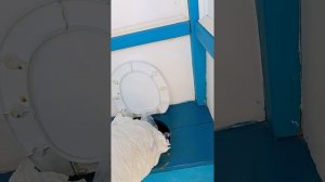 Как победить фекальные брызги в уличном туалете