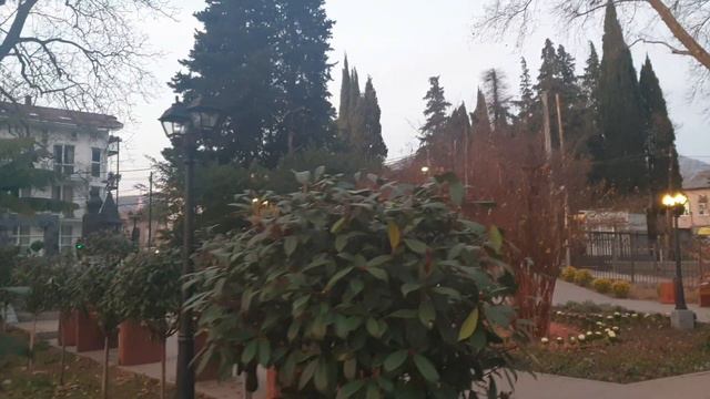 Сквер Одоевского. Небо после заката. Зимняя красота. Теплый вечер. Лазаревское Сочи. Январь 2023.