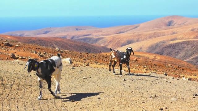 Остров Лансароте (Lanzarote)