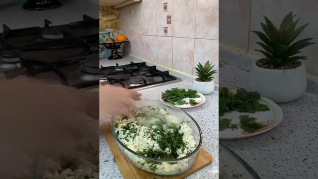 Очень Вкусный Рецепт ЯНТЫКА с ТВОРОГОМ  Мятой/ Янтык тоже самое, что и Чебурек на Сухой Сковородке