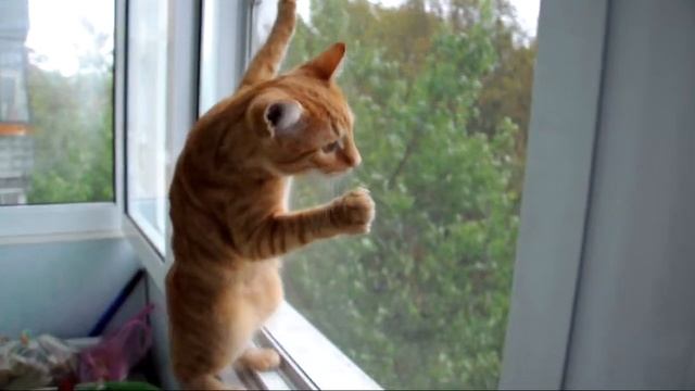 nikon d90 смотреть онлайн